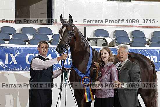 Proof Number 10r9_3715