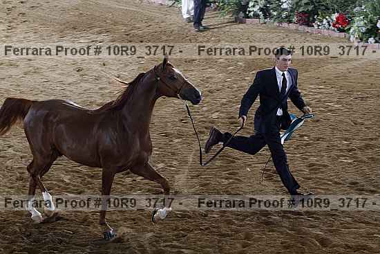 Proof Number 10r9_3717