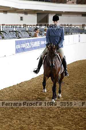 Proof Number 10r9_3856
