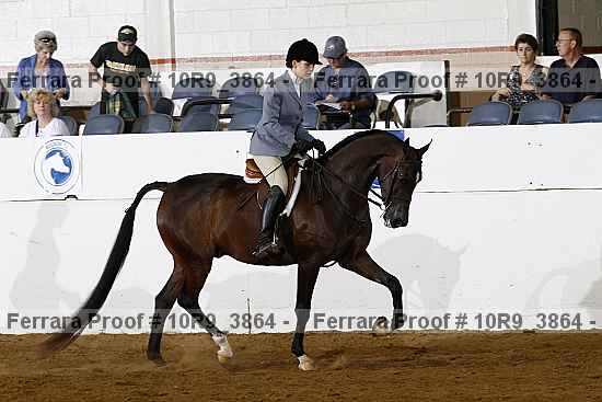 Proof Number 10r9_3864