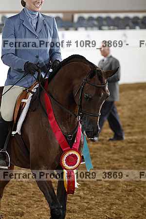 Proof Number 10r9_3869
