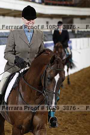 Proof Number 10r9_3876