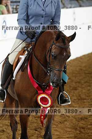 Proof Number 10r9_3880