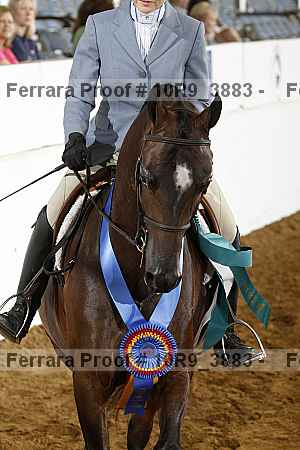 Proof Number 10r9_3883
