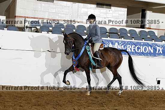 Proof Number 10r9_3885