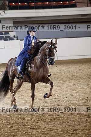 Proof Number 10r9_3901