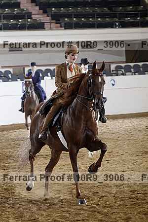 Proof Number 10r9_3906