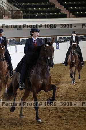 Proof Number 10r9_3908