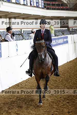 Proof Number 10r9_3915