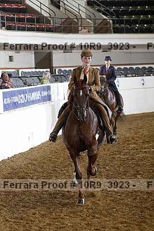 Proof Number 10r9_3923