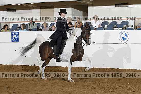 Proof Number 10r9_3940