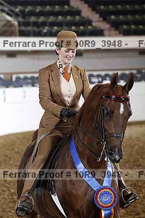Proof Number 10r9_3948