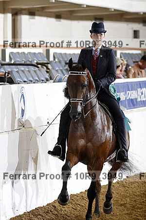 Proof Number 10r9_3949