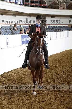 Proof Number 10r9_3952