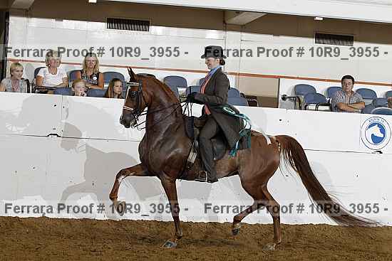 Proof Number 10r9_3955