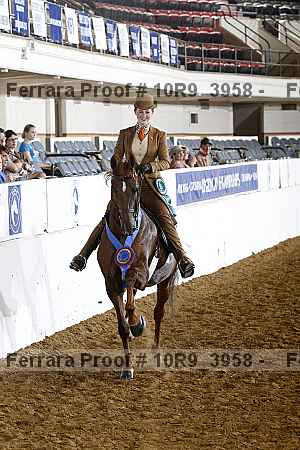 Proof Number 10r9_3958