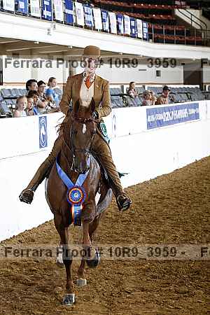 Proof Number 10r9_3959
