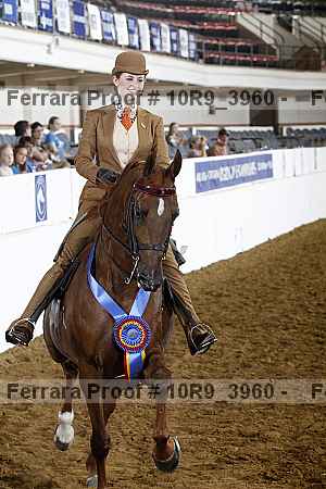 Proof Number 10r9_3960