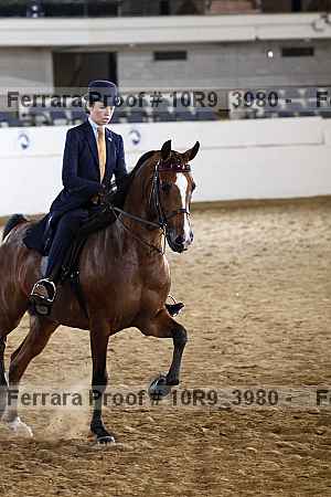 Proof Number 10r9_3980