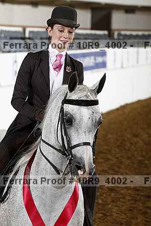 Proof Number 10r9_4002