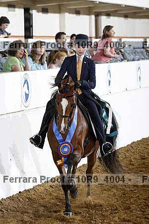 Proof Number 10r9_4004