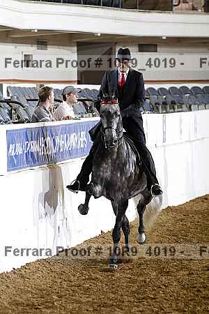 Proof Number 10r9_4019