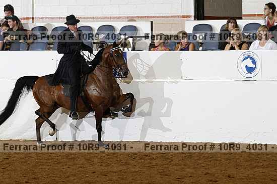 Proof Number 10r9_4031