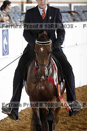 Proof Number 10r9_4038