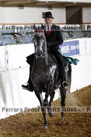 Proof Number 10r9_4040