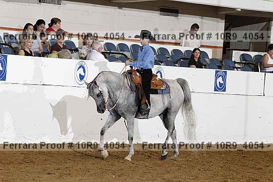 Proof Number 10r9_4054