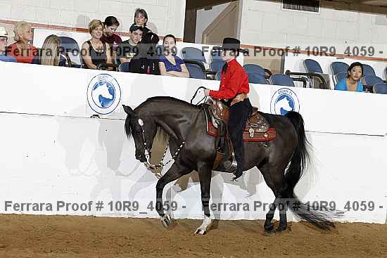 Proof Number 10r9_4059