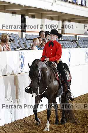 Proof Number 10r9_4061