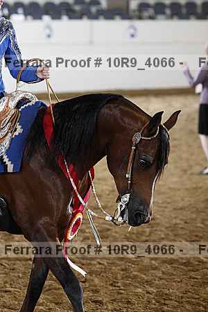 Proof Number 10r9_4066