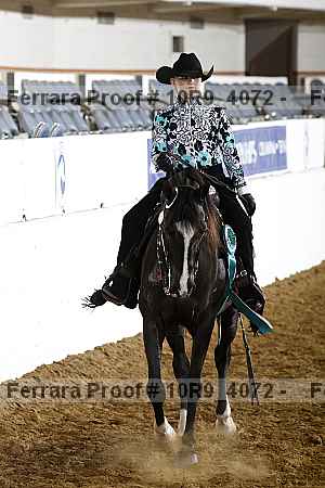 Proof Number 10r9_4072