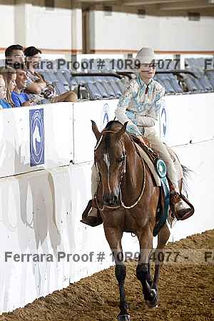 Proof Number 10r9_4077