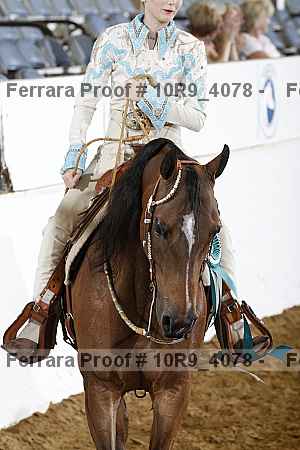 Proof Number 10r9_4078