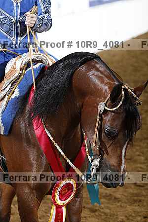 Proof Number 10r9_4081