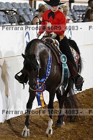 Proof Number 10r9_4083