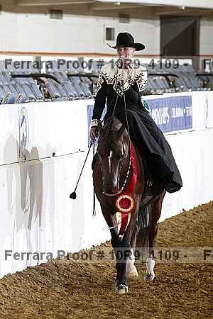 Proof Number 10r9_4109
