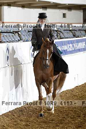 Proof Number 10r9_4113