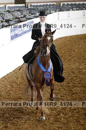 Proof Number 10r9_4124