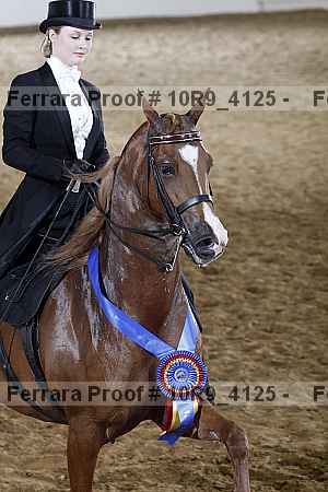 Proof Number 10r9_4125