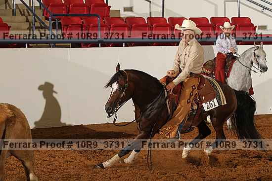 Proof Number 10r9_3731