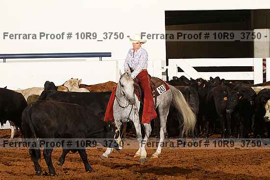 Proof Number 10r9_3750