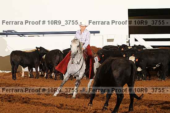Proof Number 10r9_3755