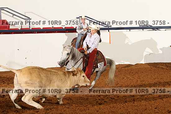 Proof Number 10r9_3758