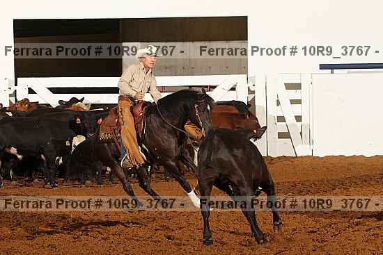 Proof Number 10r9_3767