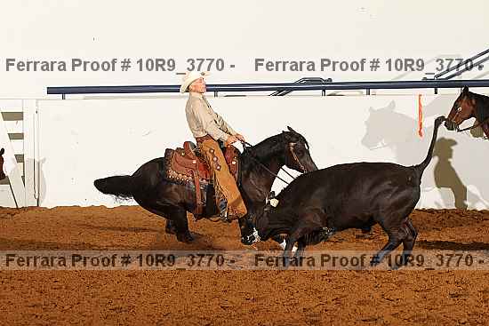 Proof Number 10r9_3770