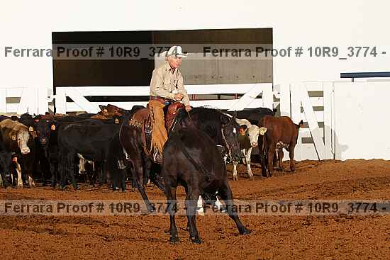 Proof Number 10r9_3774
