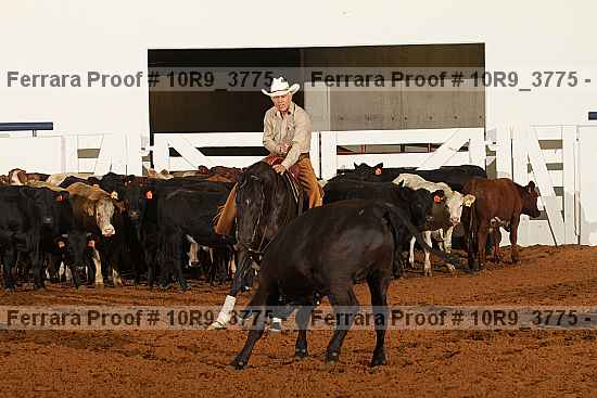 Proof Number 10r9_3775